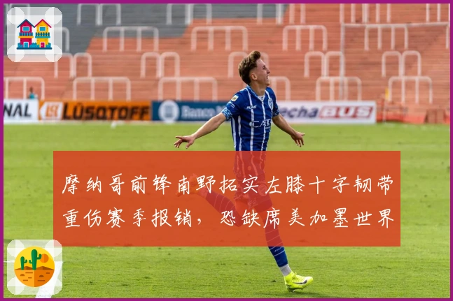 摩纳哥前锋南野拓实左膝十字韧带重伤赛季报销，恐缺席美加墨世界杯