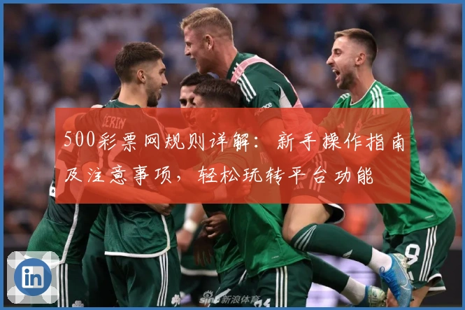 500彩票网规则详解：新手操作指南及注意事项，轻松玩转平台功能
