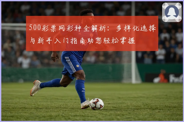 500彩票网彩种全解析:多样化选择与新手入门指南助您轻松掌握