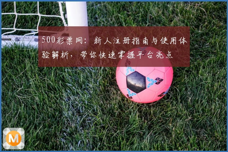 500彩票网：新人注册指南与使用体验解析，带你快速掌握平台亮点